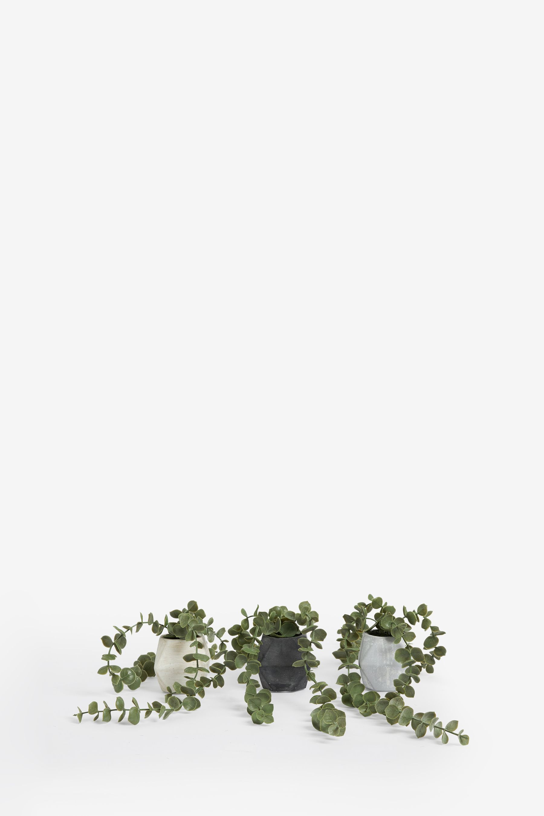 Buy Set of 3 Green Mini Artificial Trailing Plants in Concrete Effect