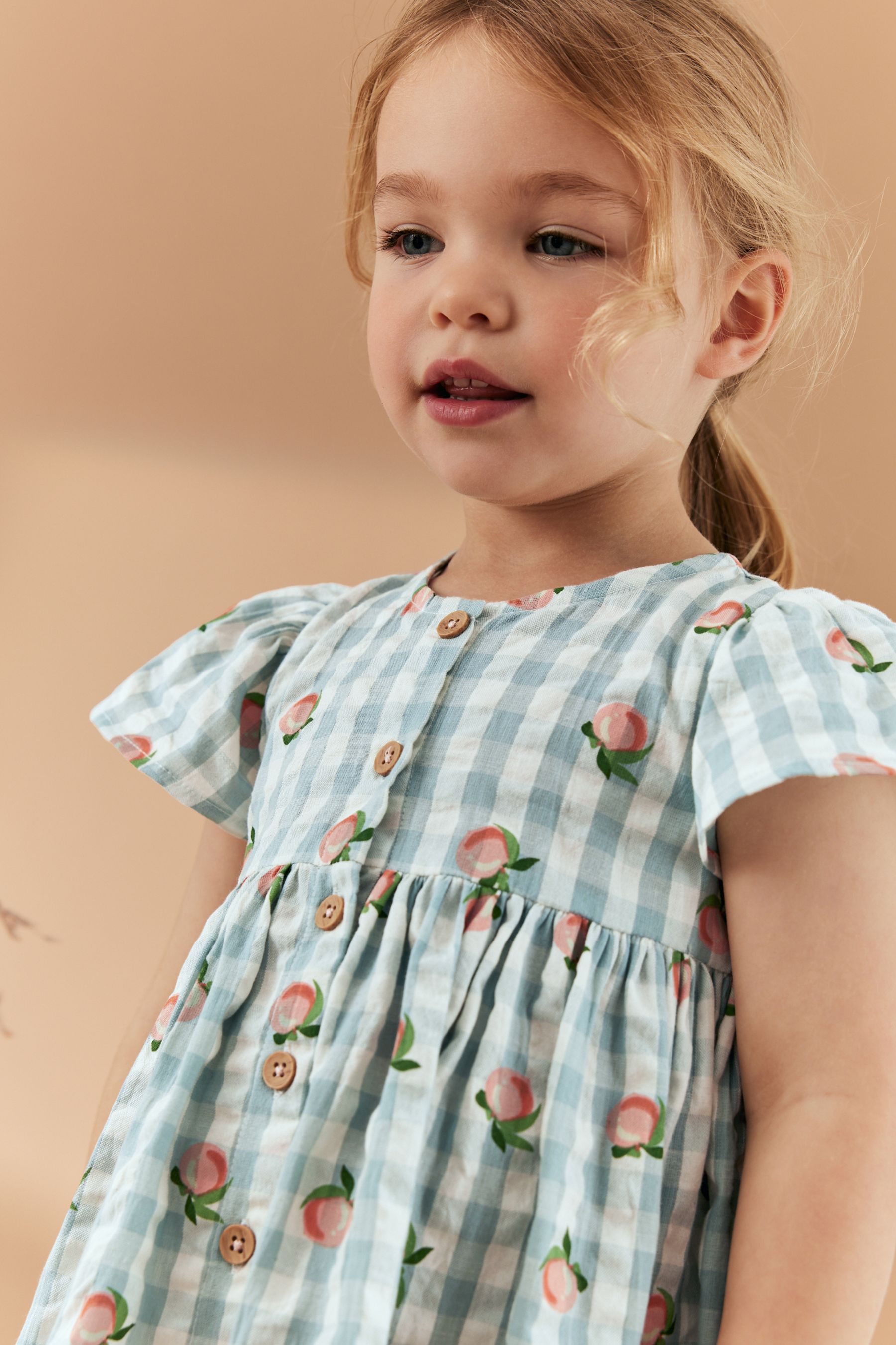 Buy Blue Gingham Cotton Button Up Dress (3mths-8yrs) from the Next UK ...