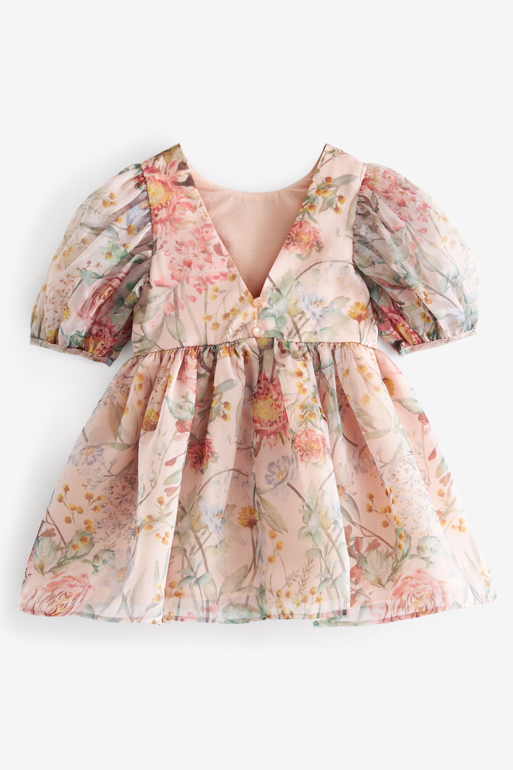 Buy Pink Floral Printed Prom Dress (3mths-10yrs) from Next Estonia