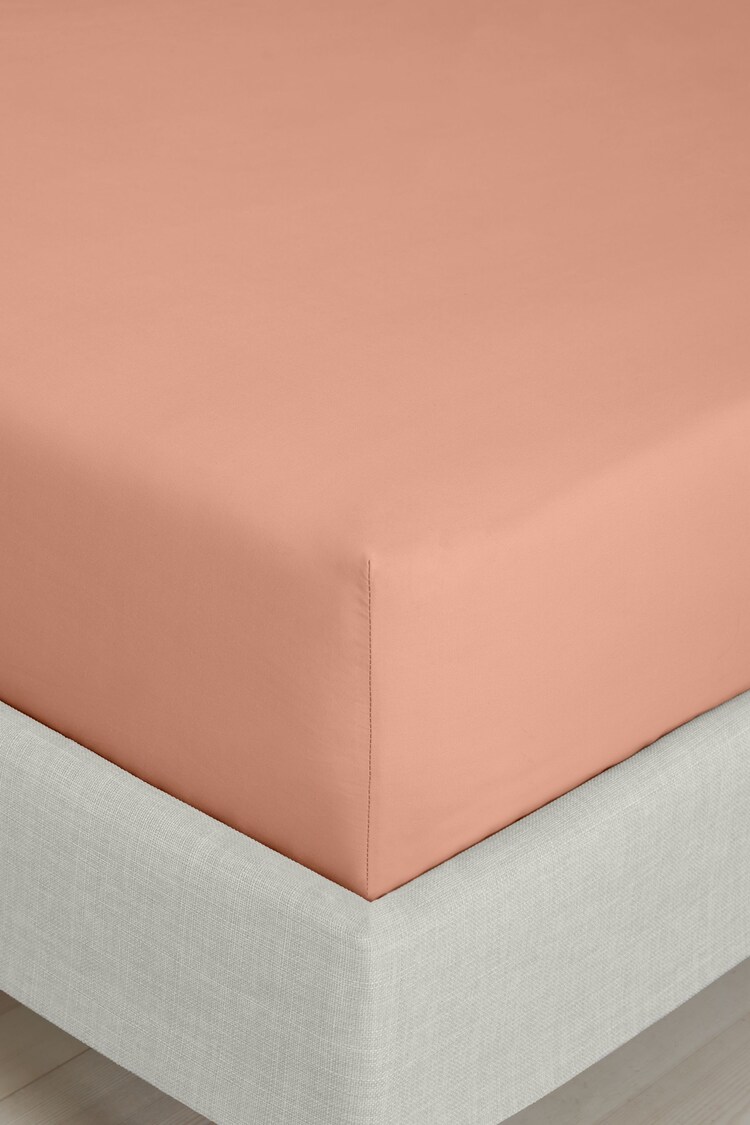 Bianca Clay 200 Thread Count 100% Cotton Percale Extra Deep Fitted Sheet - Image 1 of 1