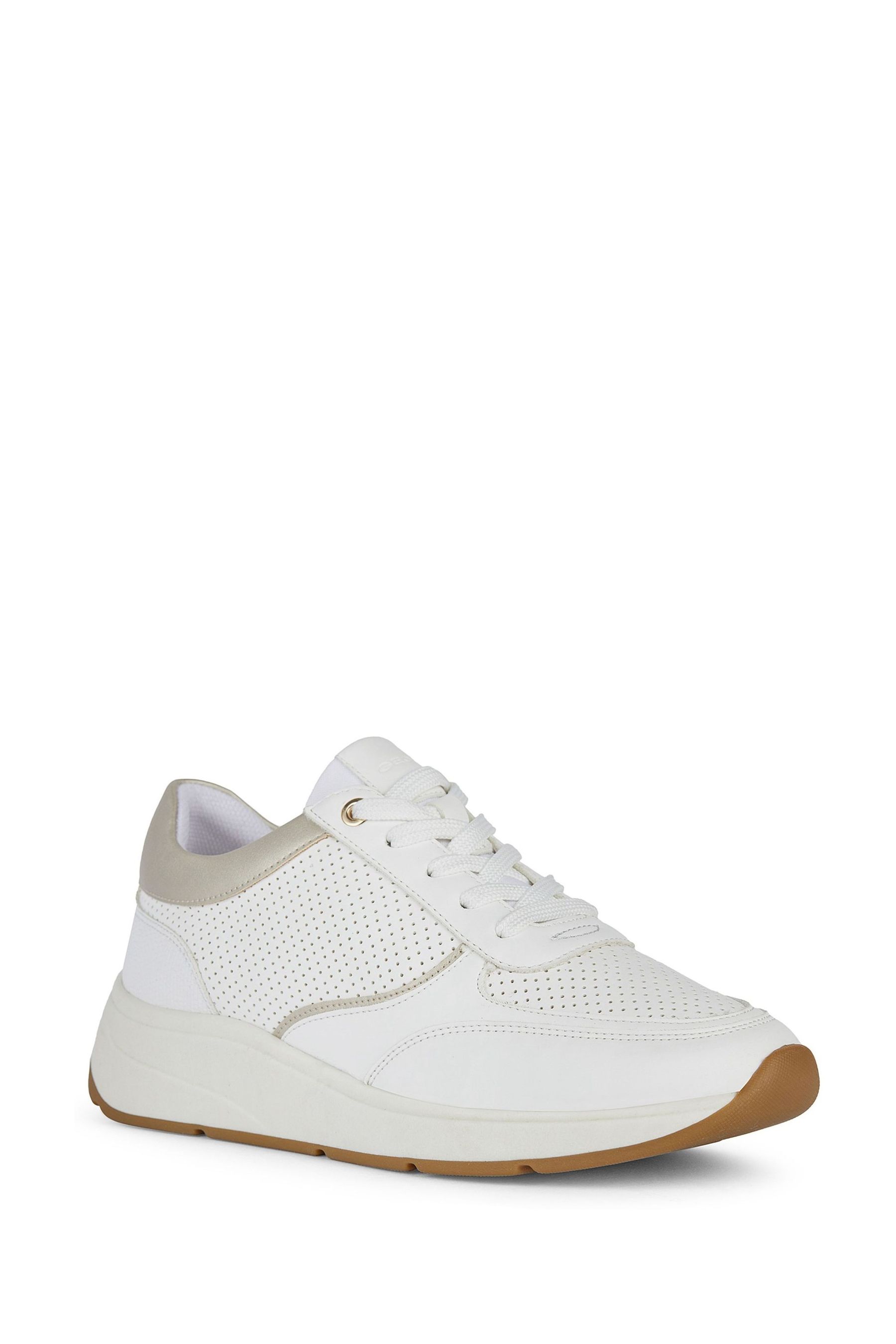 Buy Geox D Cristael White Sneakers from the Next UK online shop