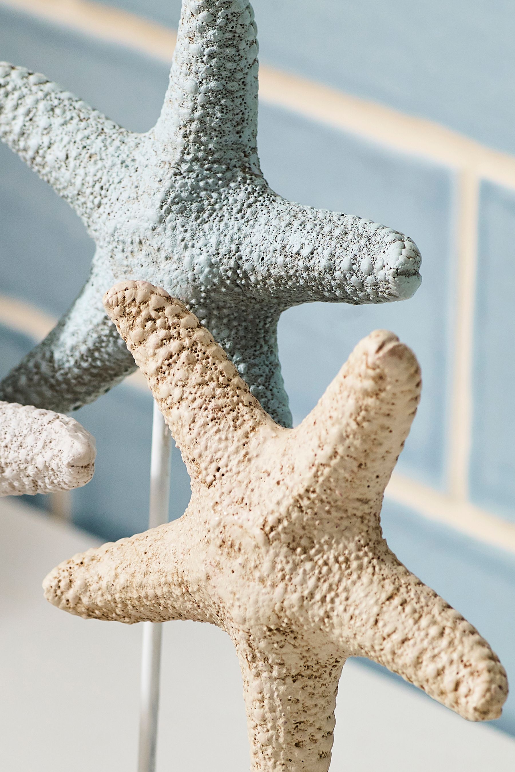 Buy Multi Starfish Ornament from the Next UK online shop