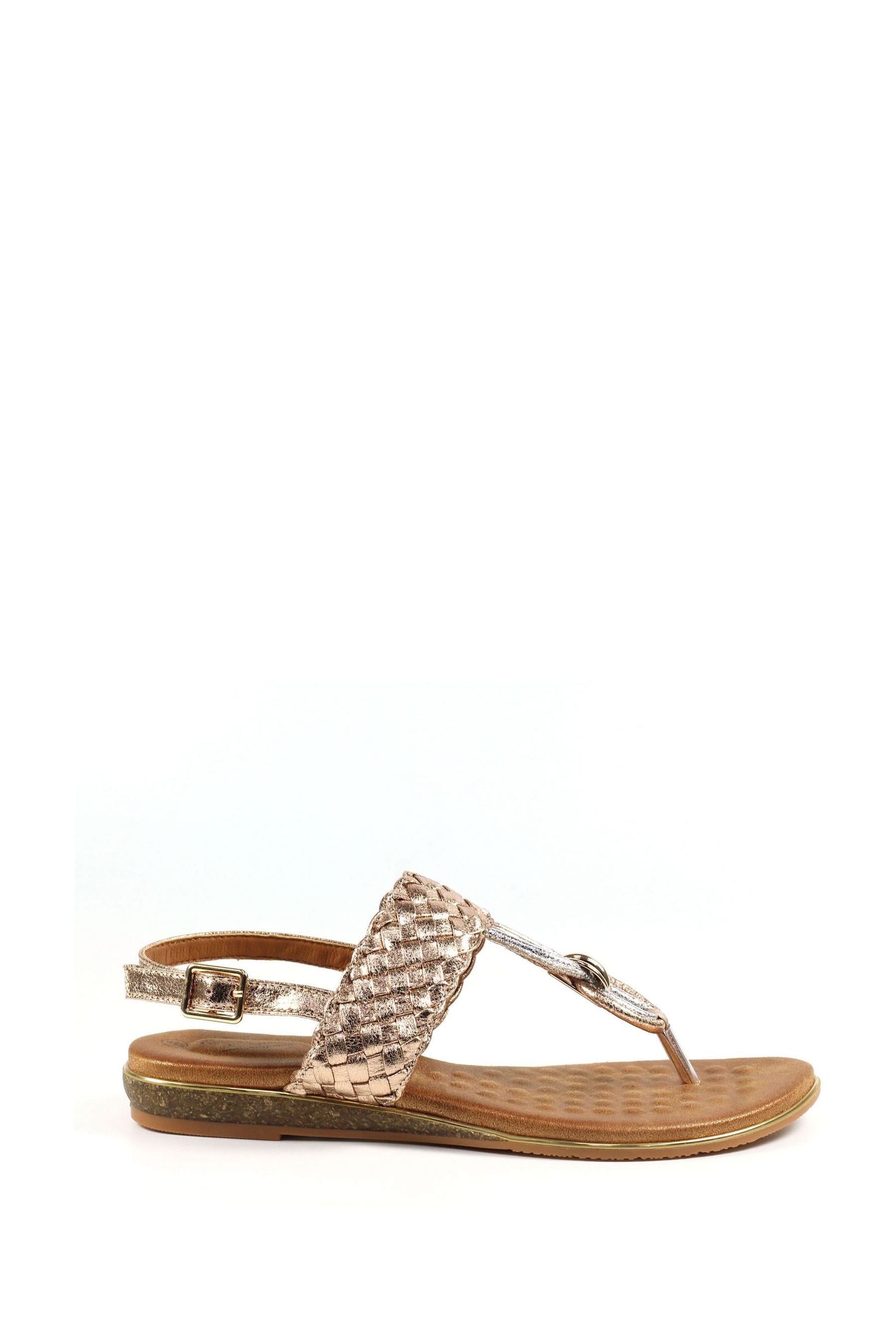 Buy Lunar Gold Dawley Rose Sandals from the Next UK online shop