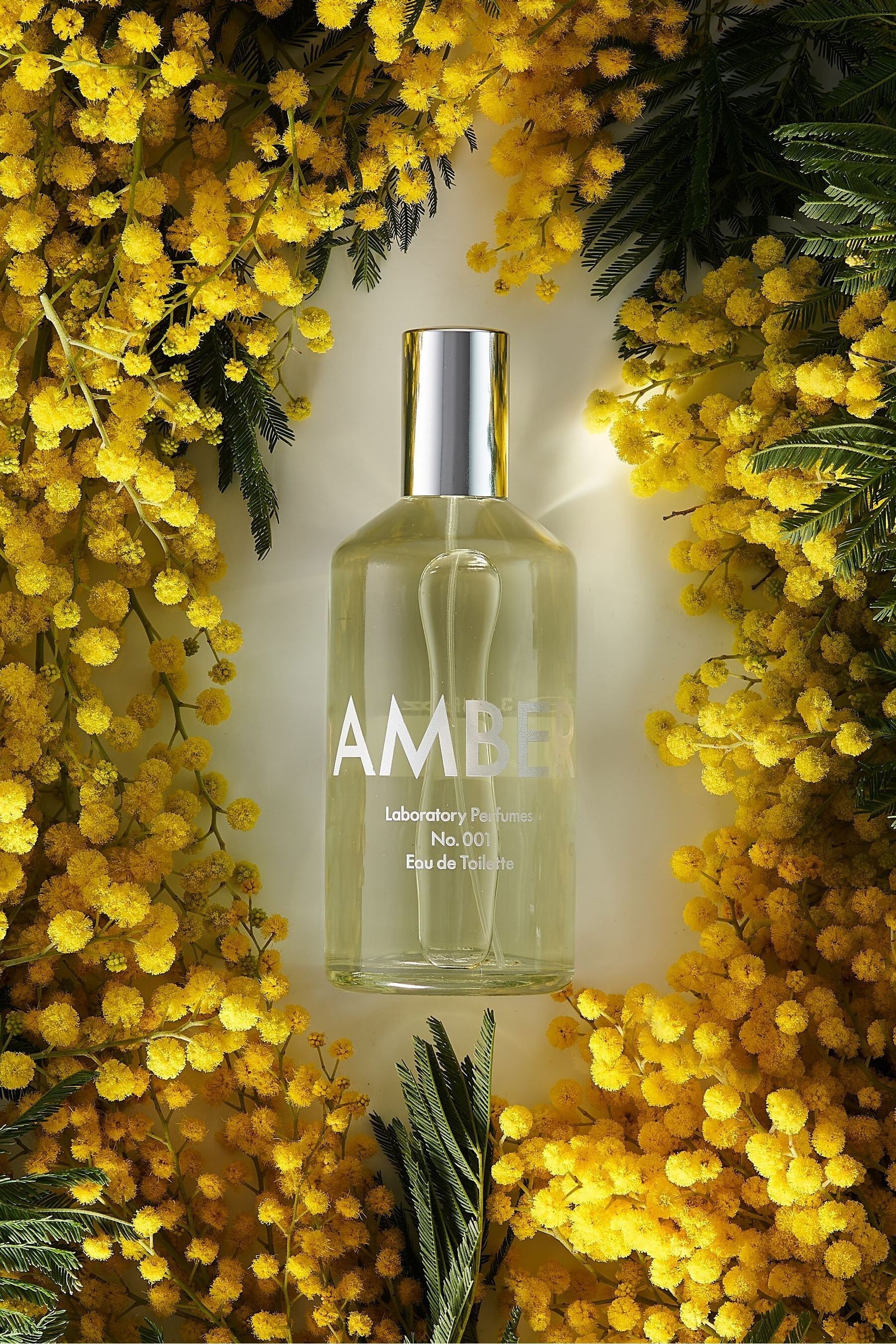 Buy Laboratory Perfumes Amber Eau de Toilette, 100ml from the Next UK