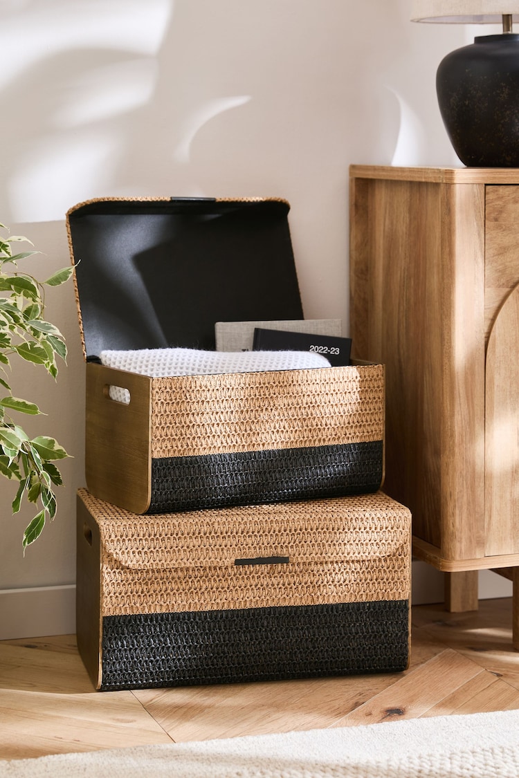 Natural Bronx Woven Set of 2 Storage Trunks - Image 1 of 1