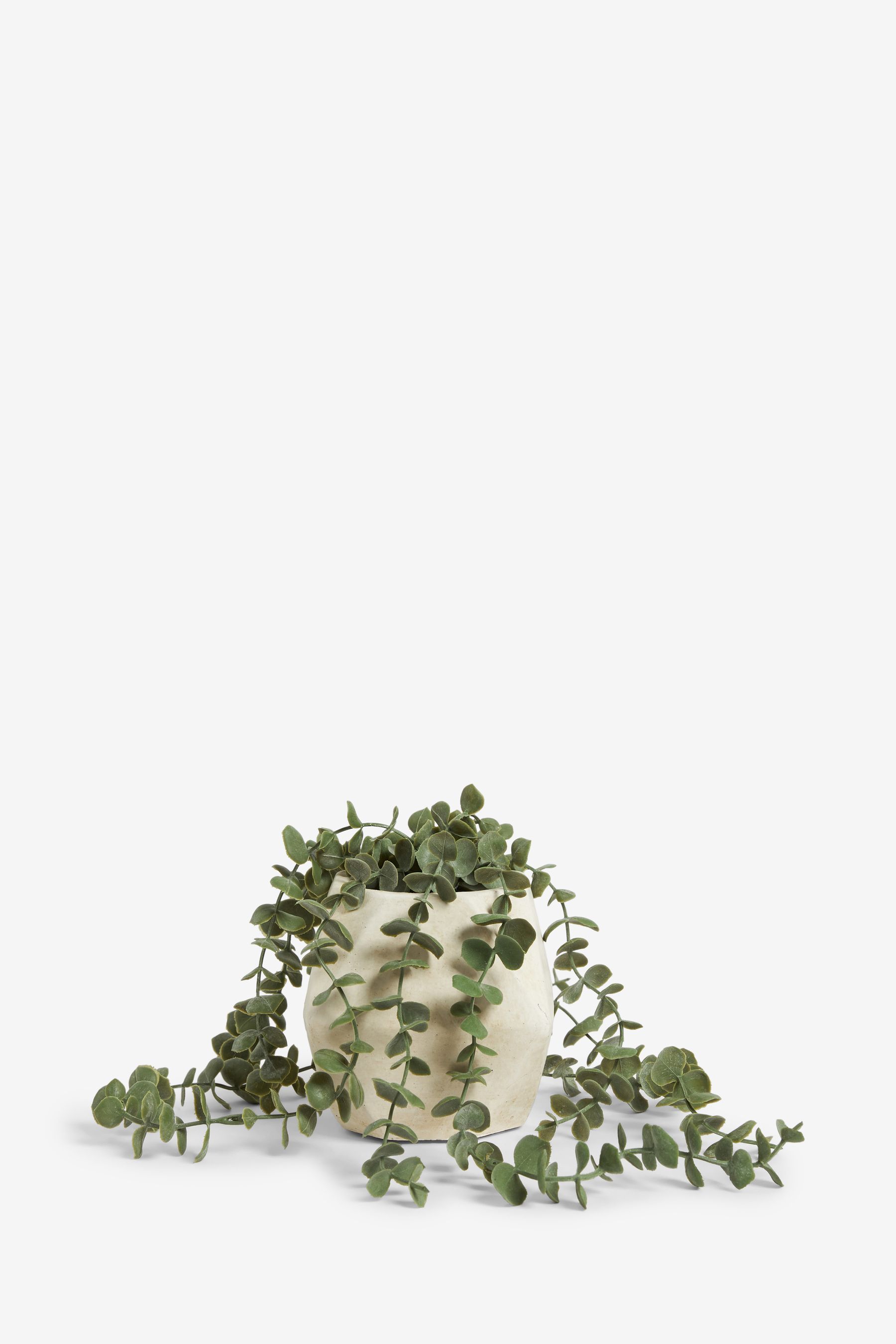 Buy Natural Artificial Trailing Plant In Geo Ceramic Pot from Next Ireland