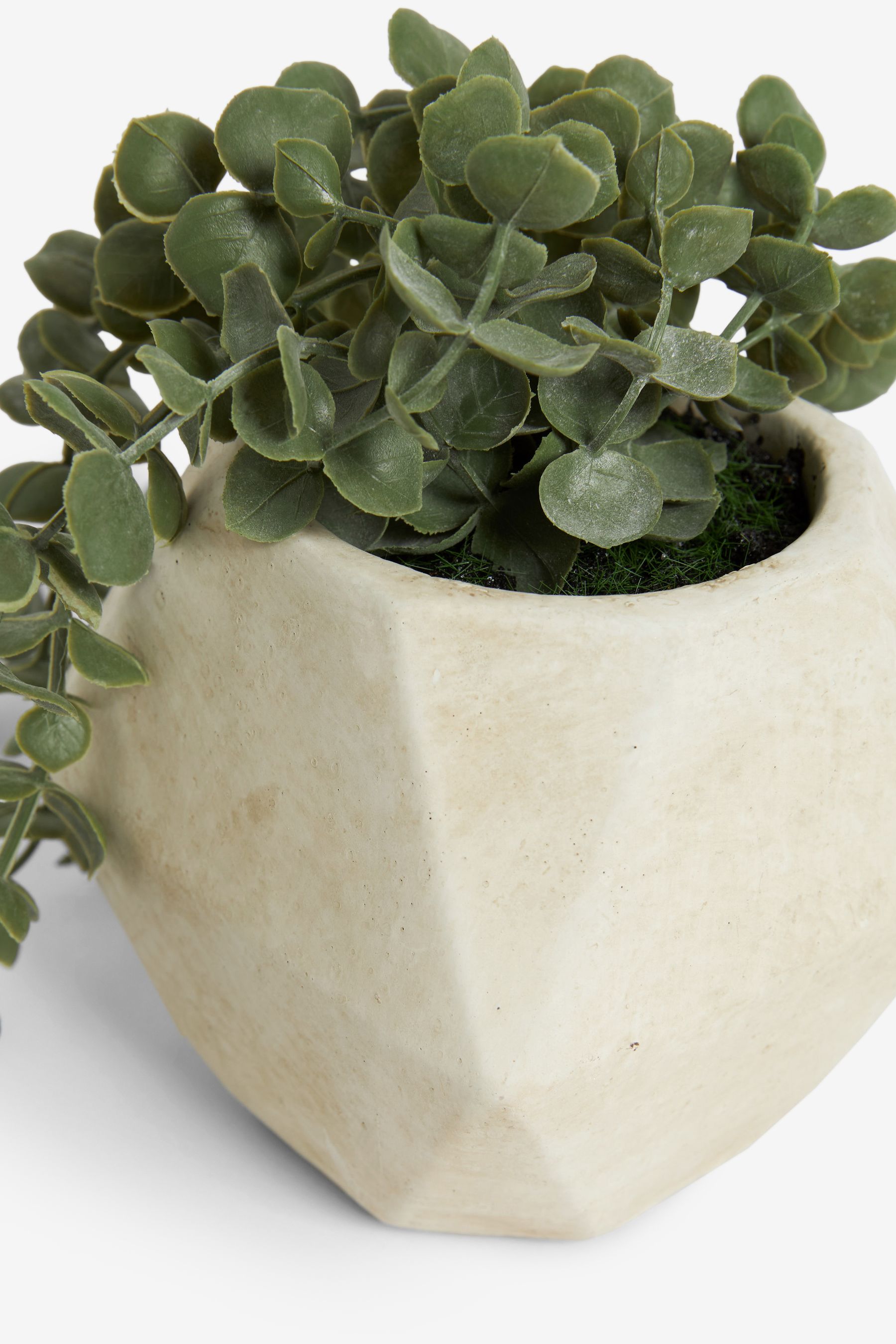 Buy Natural Artificial Trailing Plant In Geo Ceramic Pot from Next Ireland