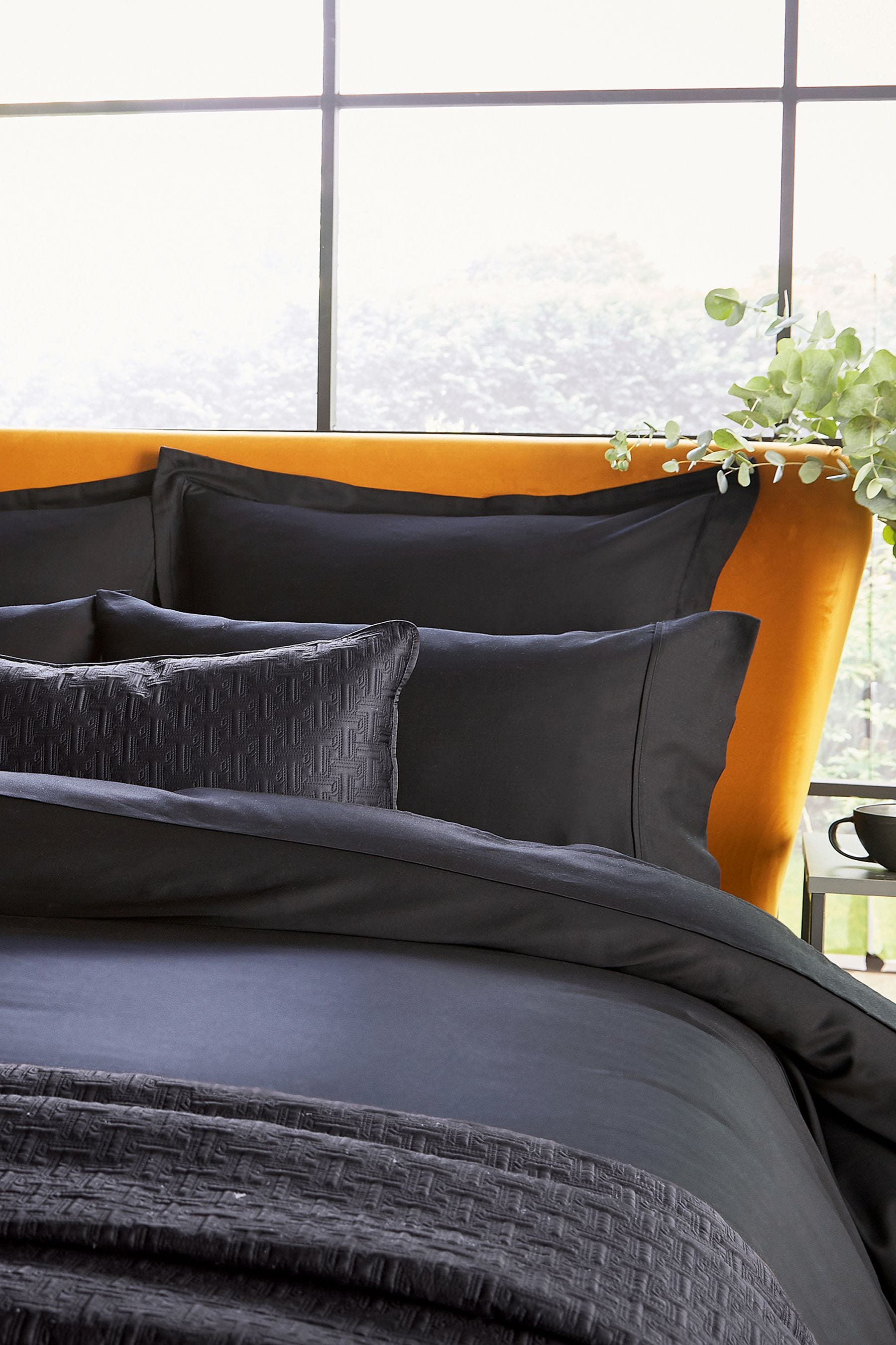 Buy Ted Baker Black Silky Smooth Plain Dye 250 Thread Count Cotton ...