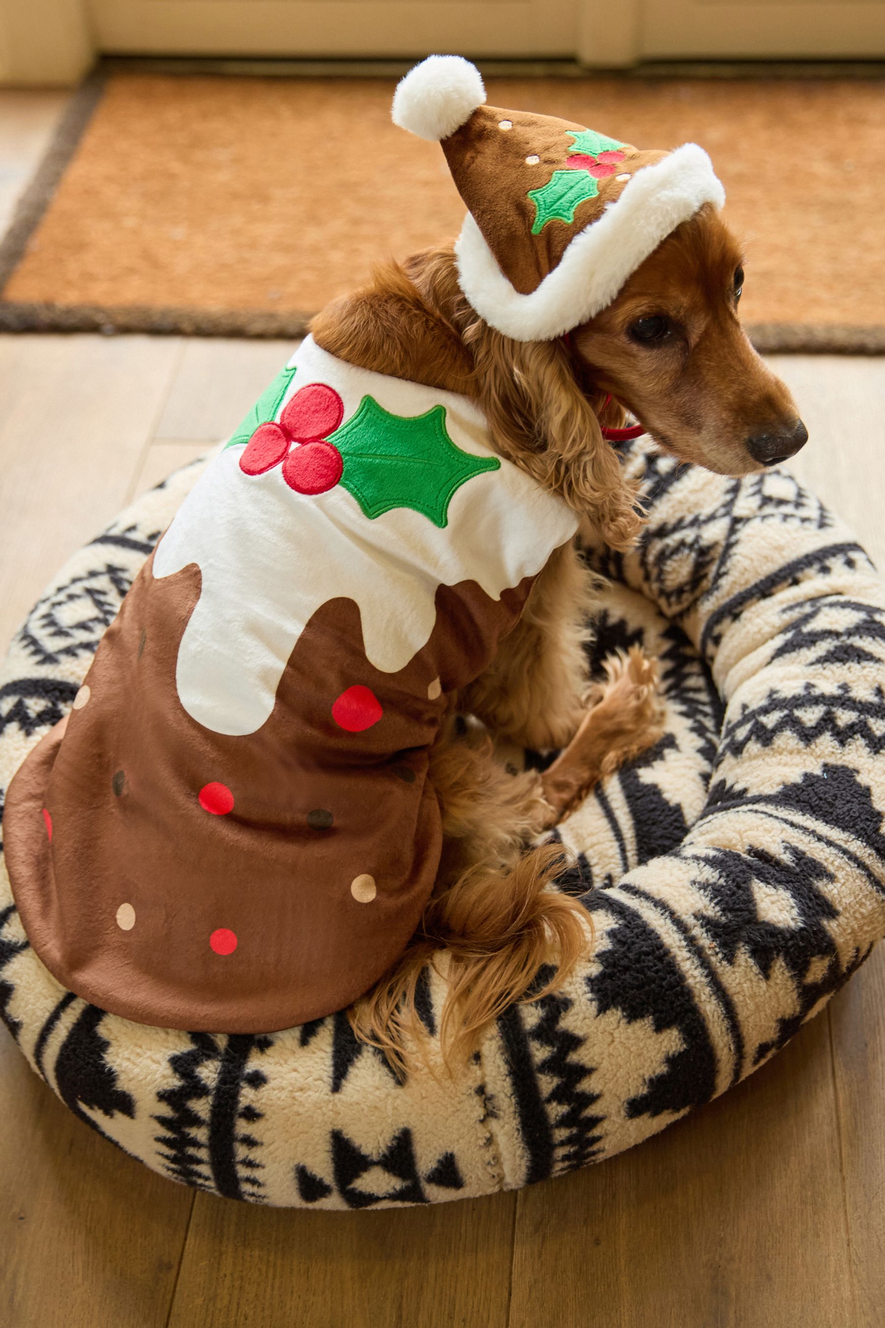 Buy Brown/Cream Christmas Pudding Dog Fancy Dress from the Next UK