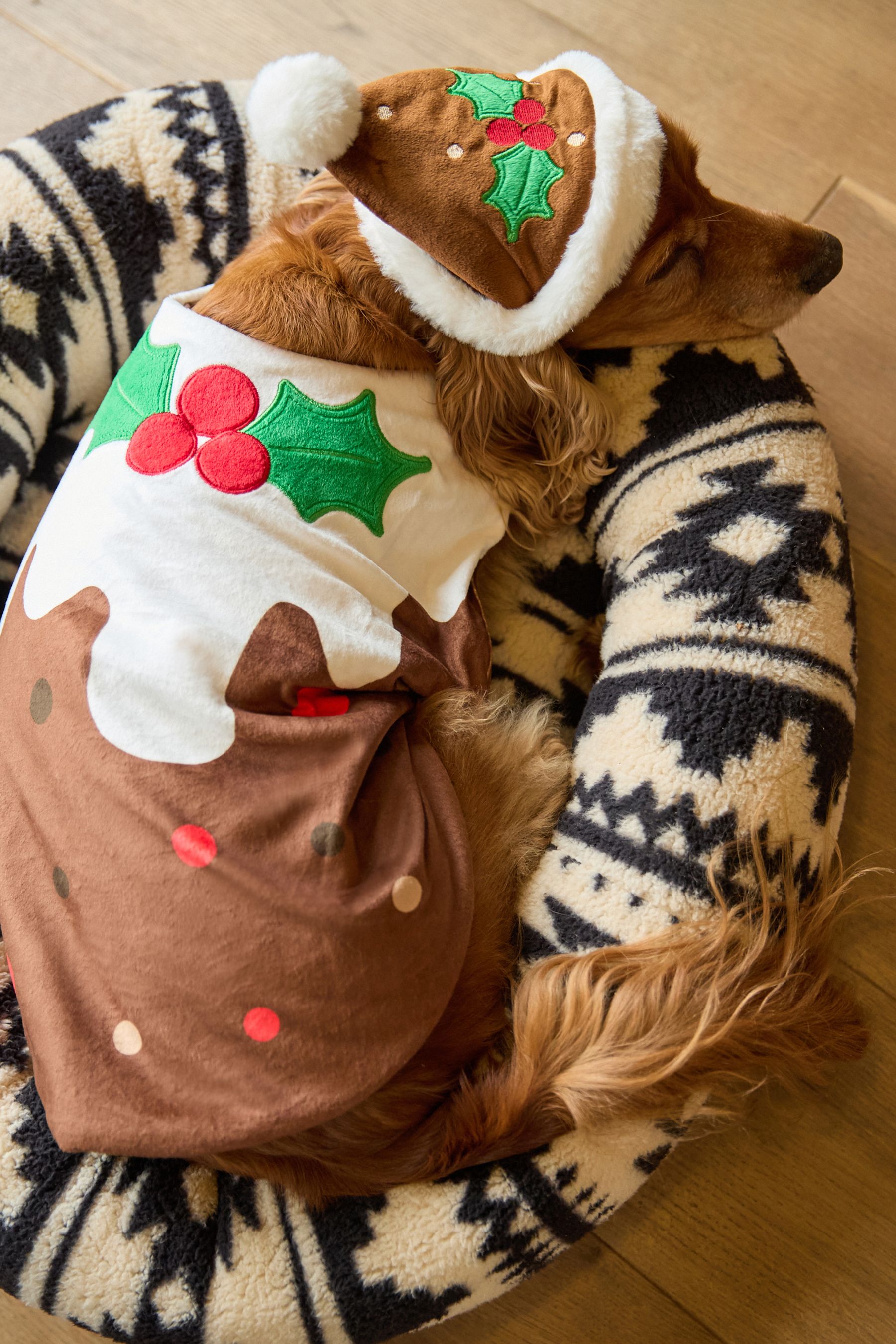 Buy Brown/Cream Christmas Pudding Dog Fancy Dress from the Next UK