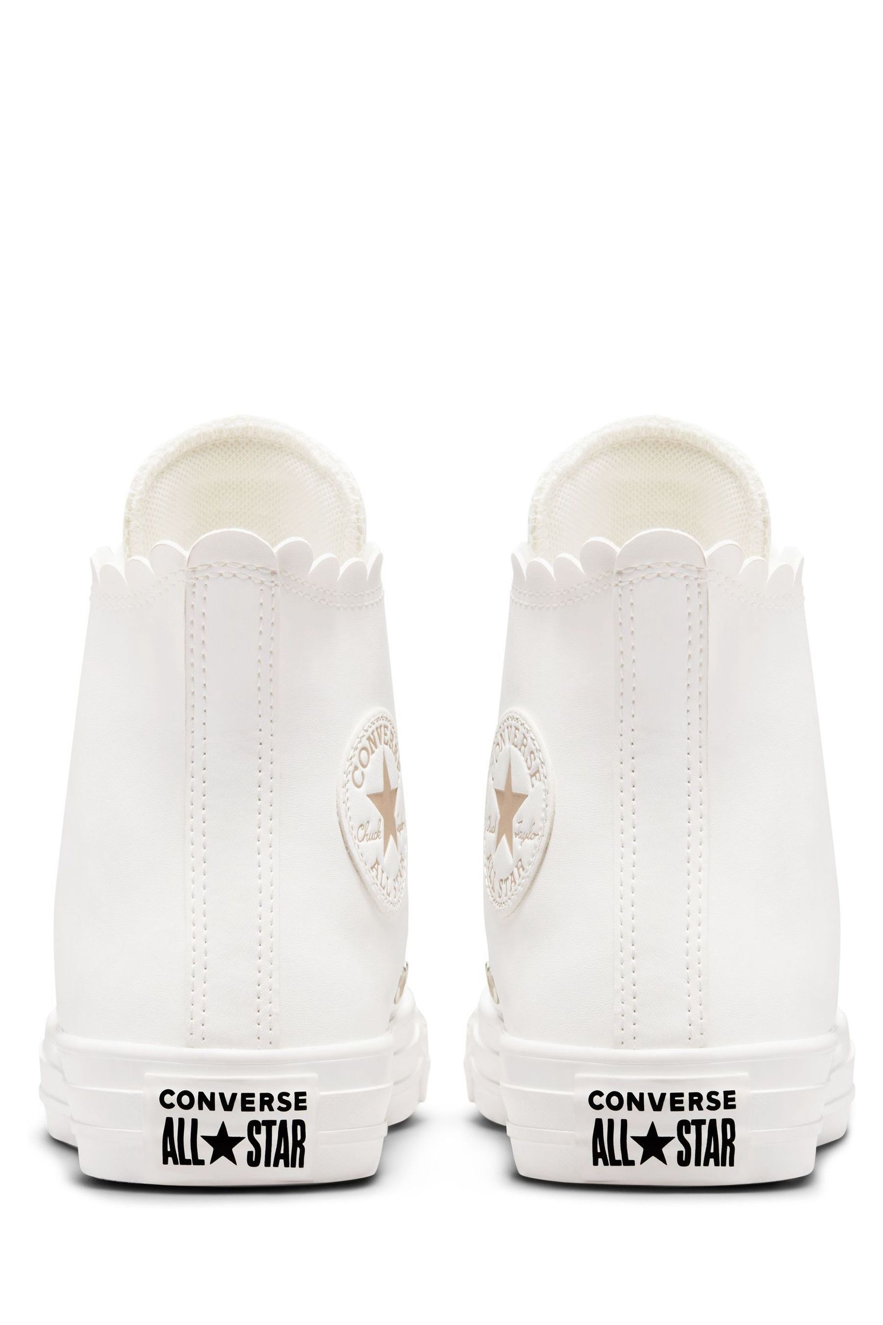 scallop converse