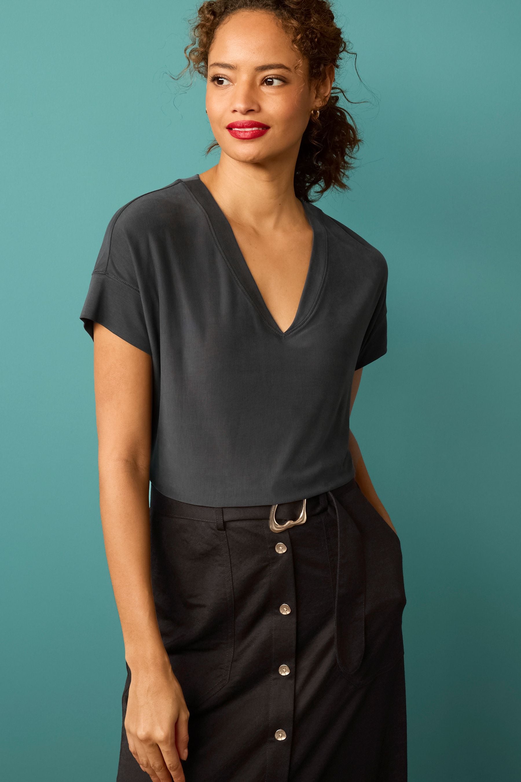 Buy Modal Rich Premium VNeck TShirt from Next USA