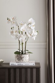 White Artificial Real Touch Orchid In Hex Embossed Pot - Image 1 of 4