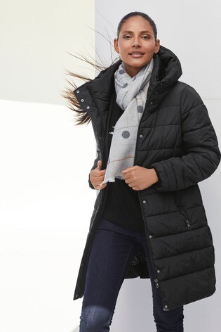 next petite padded coats