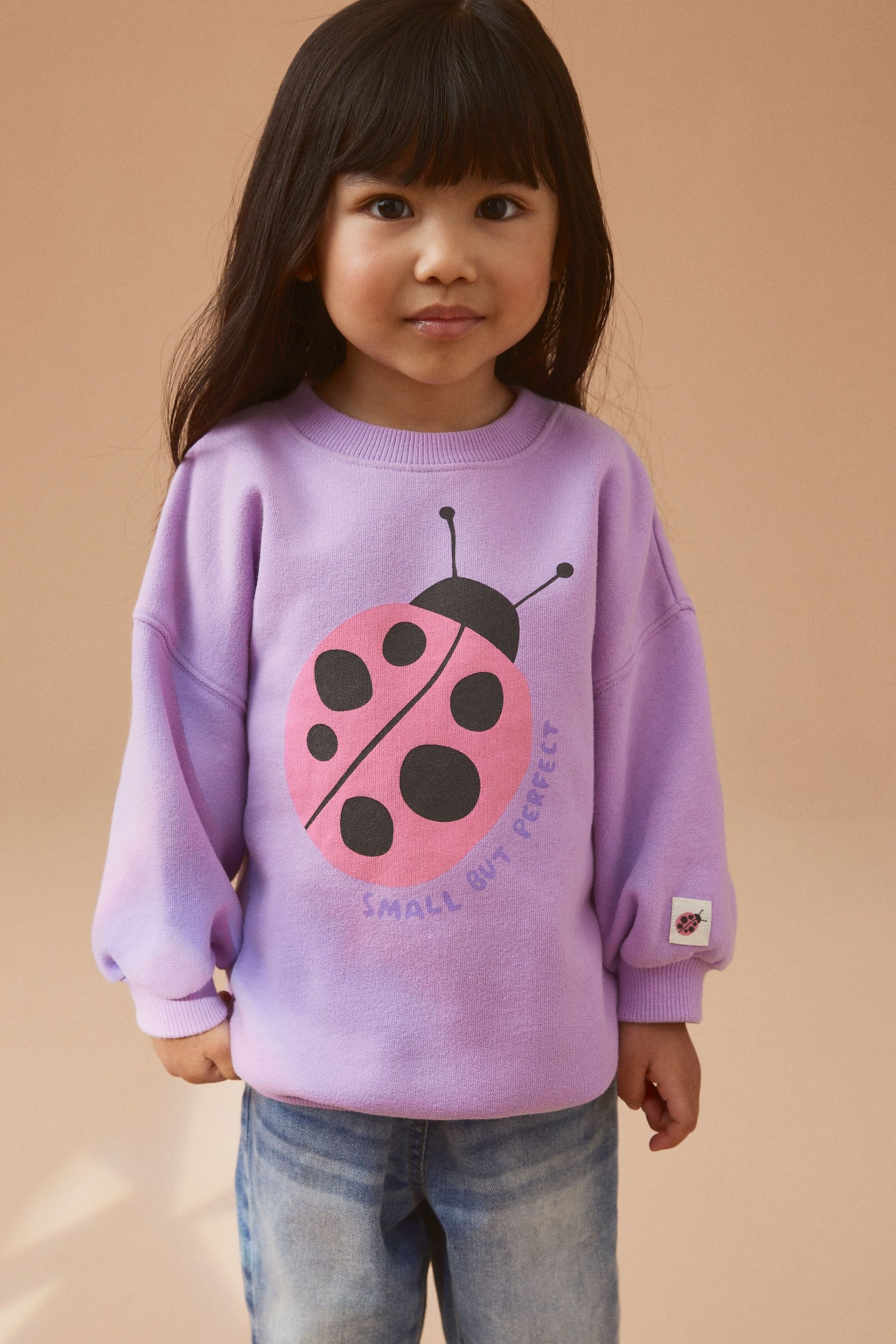 Purple Sweatshirt (3mths-7yrs) - Image 1 of 7