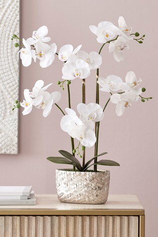 where to buy artificial orchids