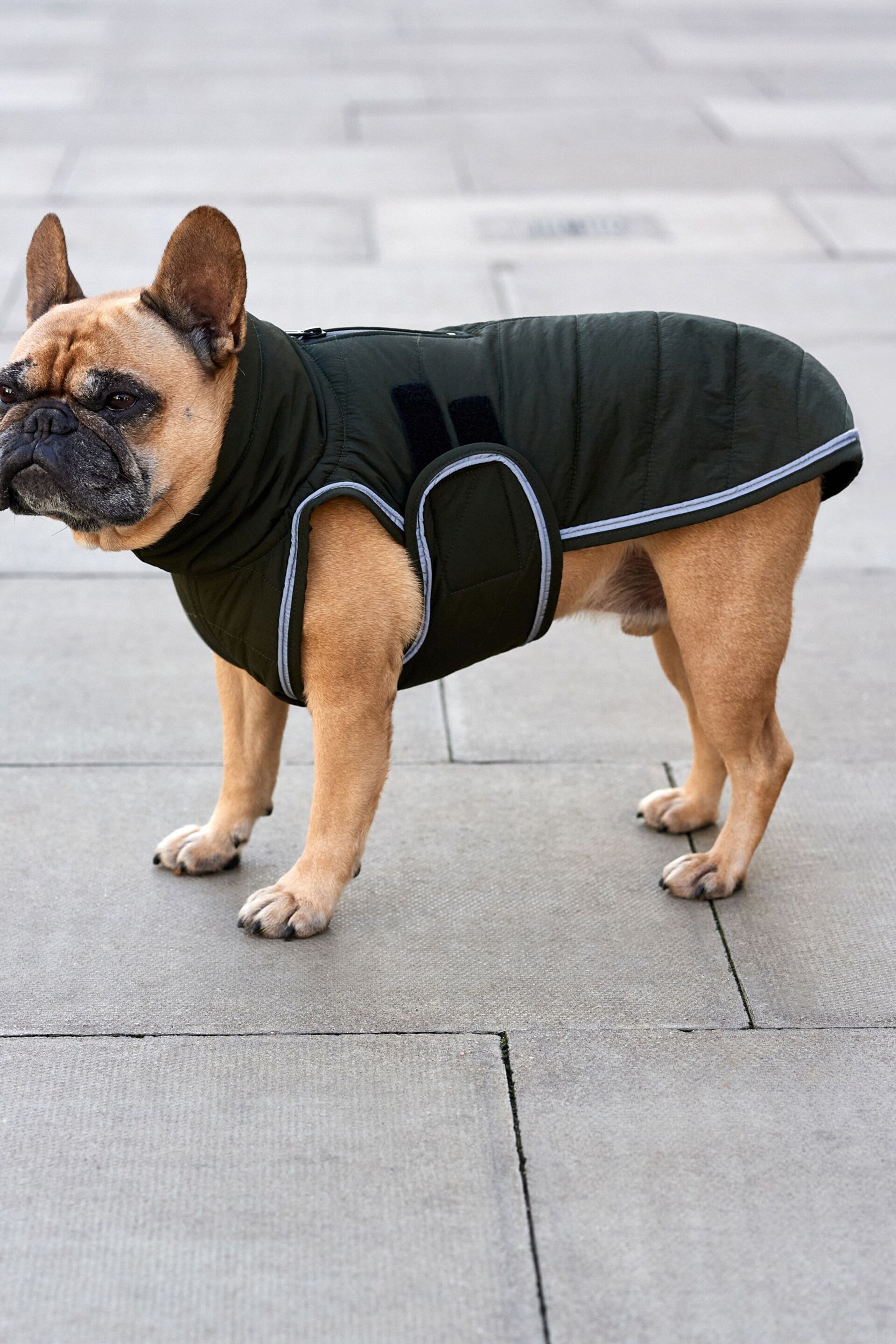 Khaki Green Showerproof Quilted Dog Coat with Reflective Trim - Image 1 of 7
