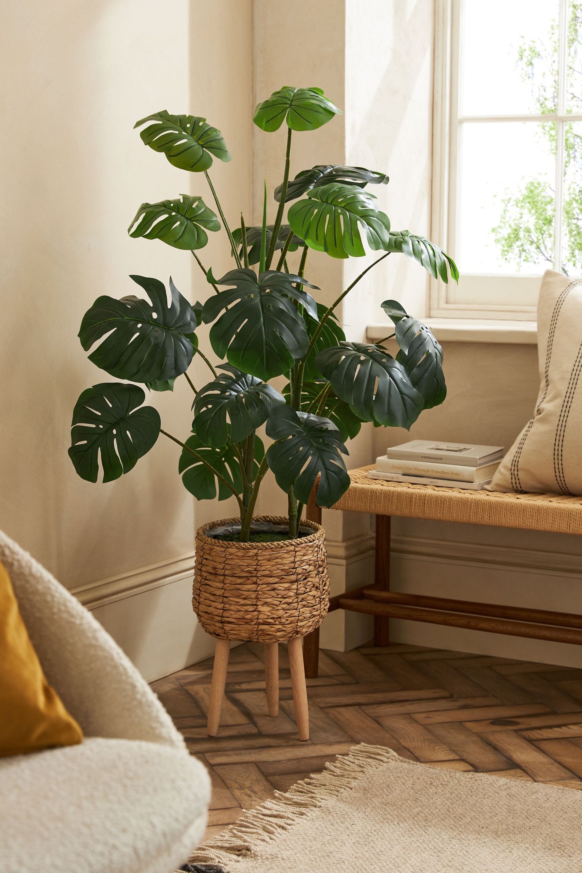 Green Artificial Cheese Plant in Rattan Planter With Legs - Image 1 of 4