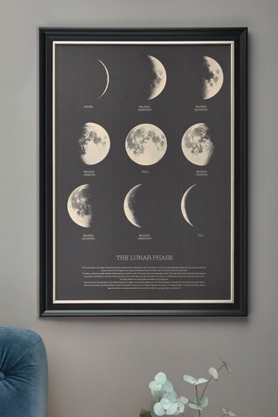 baby moon cycle price