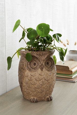 Buy Owl Plant Pot From The Next Uk Online Shop