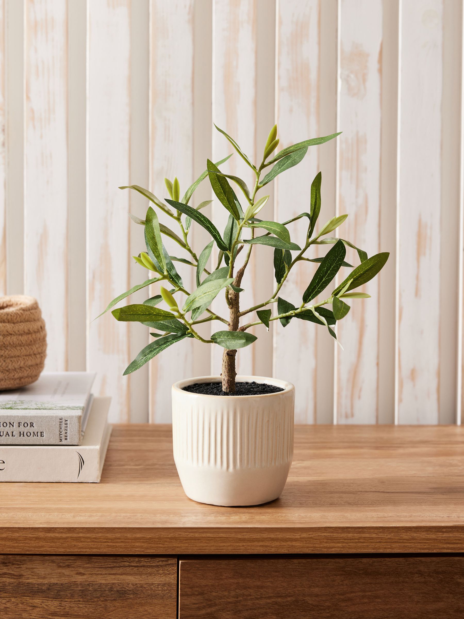 Next Green Artificial Mini Olive Tree In Ribbed Ceramic Pot
