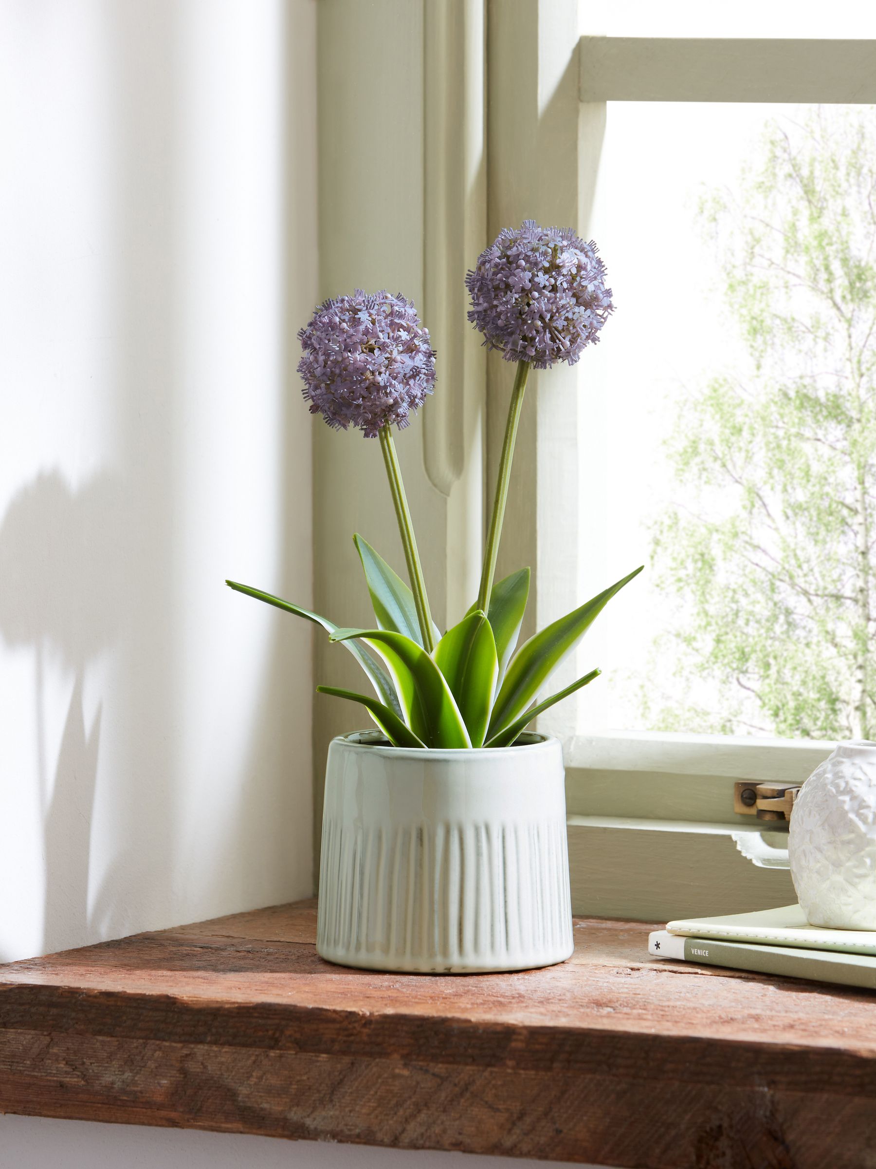 Next Purple Artificial Allium Plant In Ribbed Ceramic Pot
