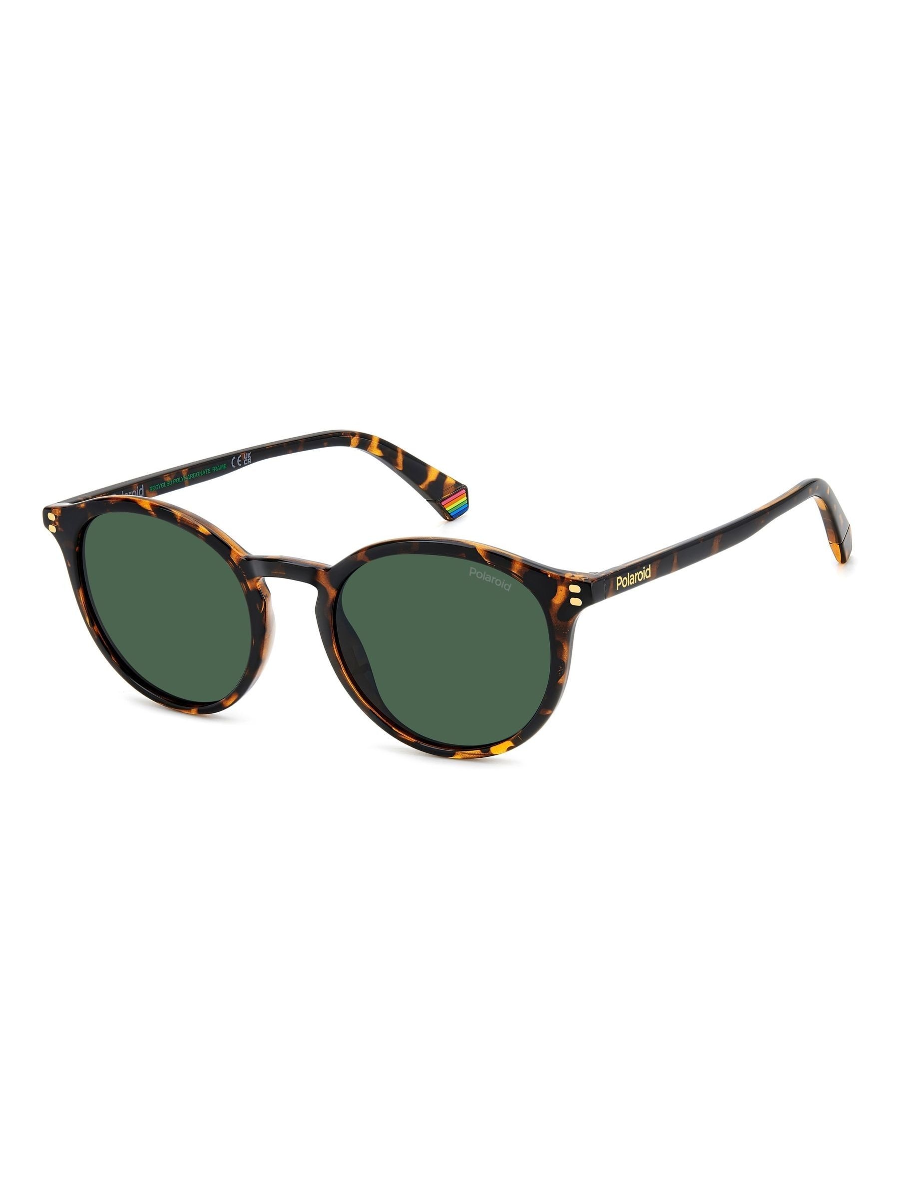 Polaroid Havanas Panthos Brown Sunglasses