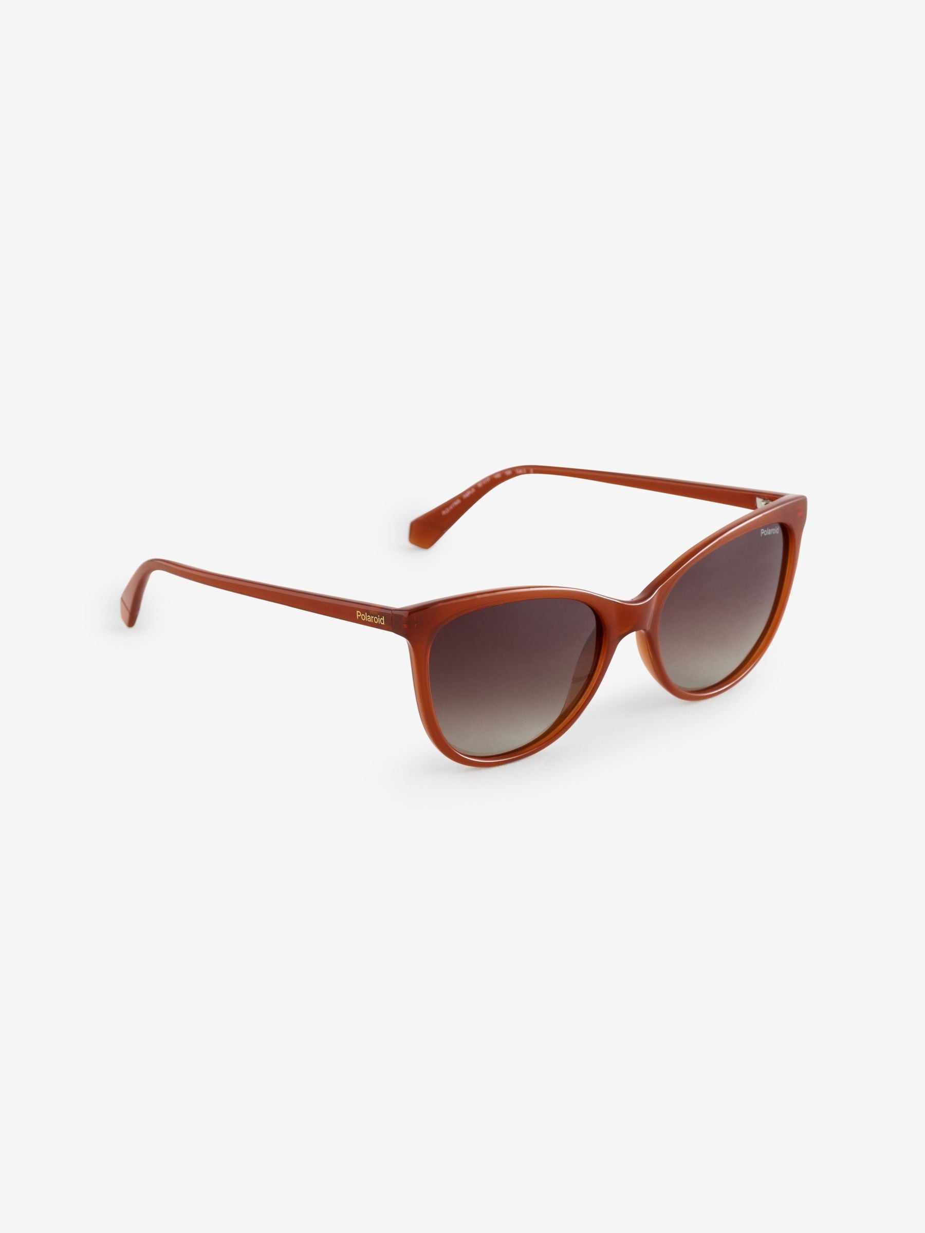 Polaroid Cat Eye Brown Sunglasses