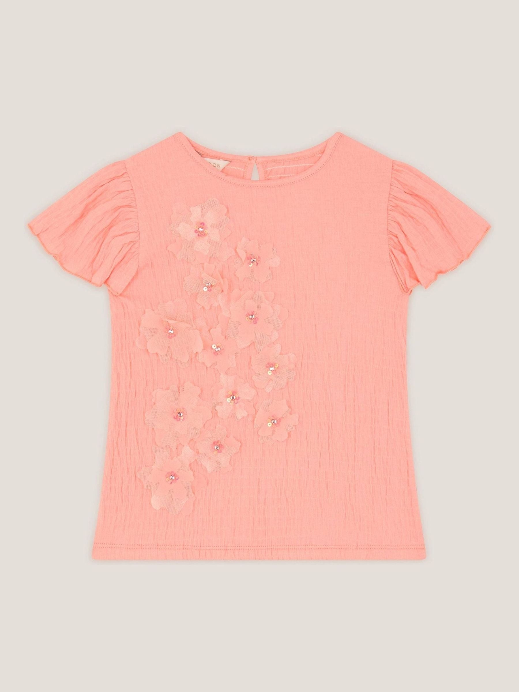 Monsoon Pink Embellished Floral Appliqué Top