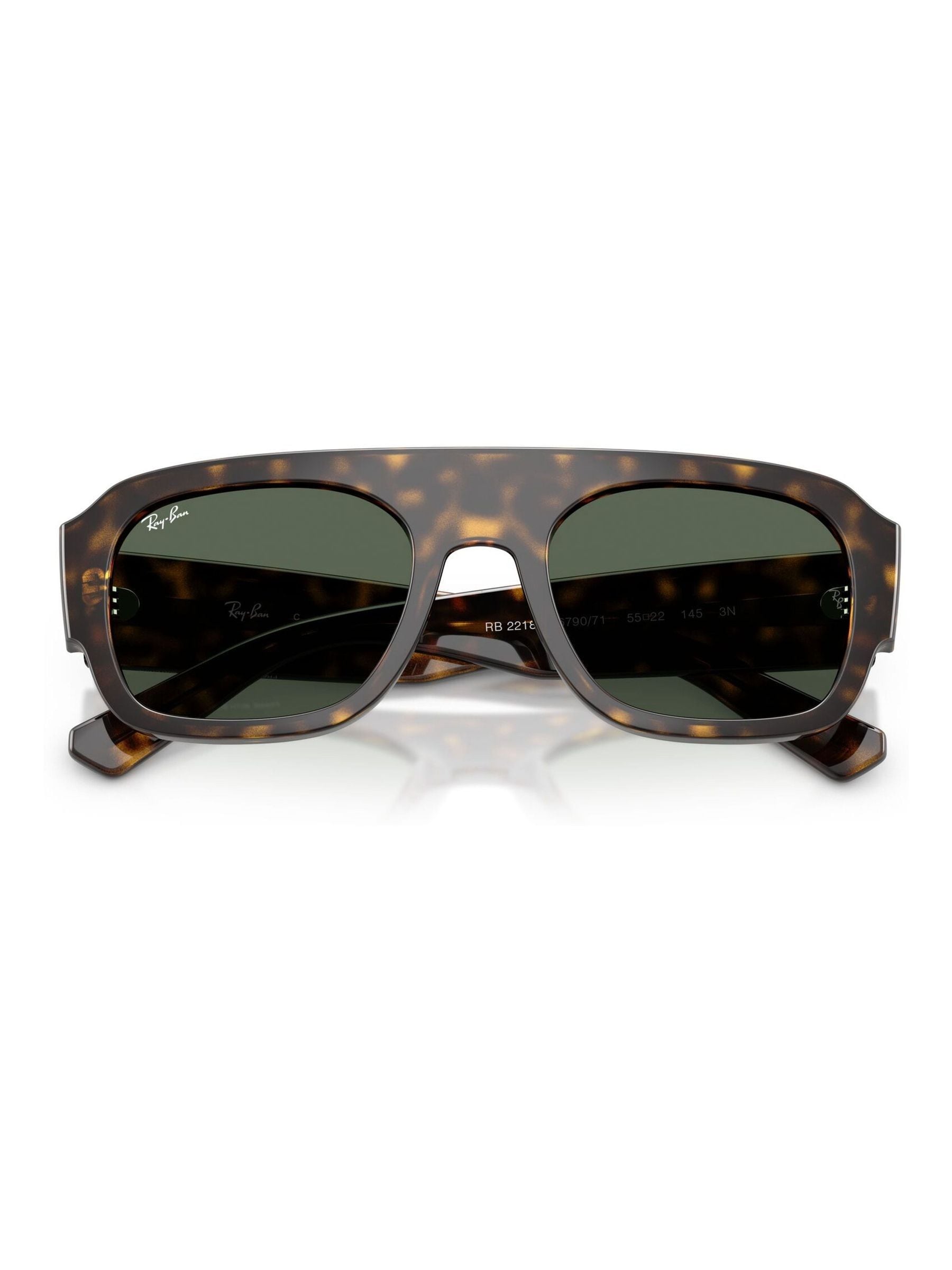 Ray-Ban Ray-Ban Brown 0Rb2218 Irregular Sunglasses
