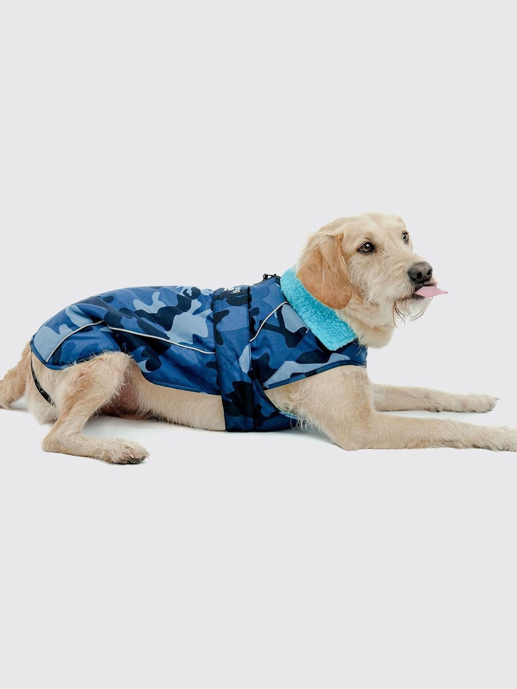 Dryrobe Bleu Wasserdichter Hundemantel - Bild 2
