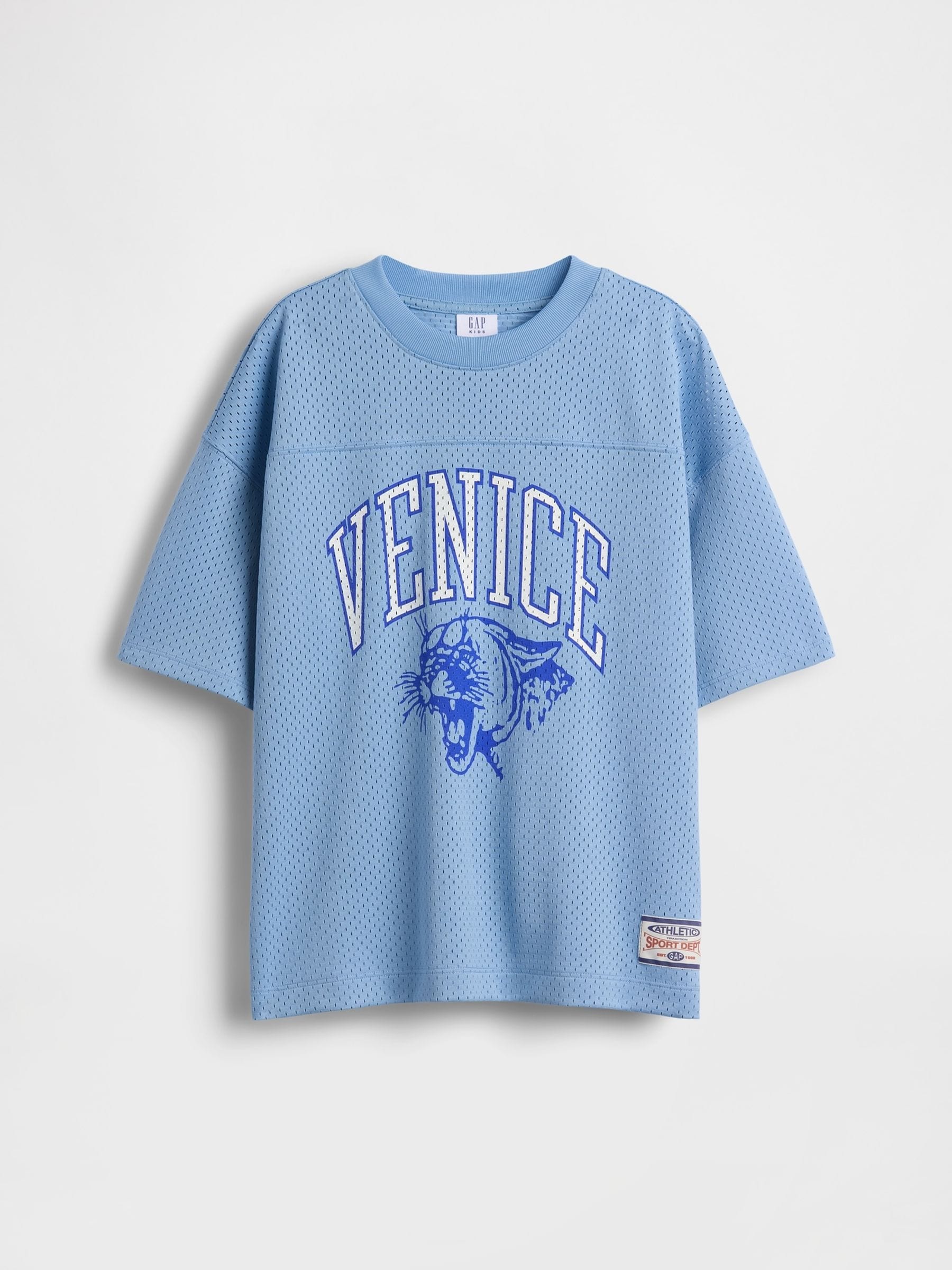 Gap Blue Mesh Oversized Graphic Jersey T-Shirt (4-13yrs)