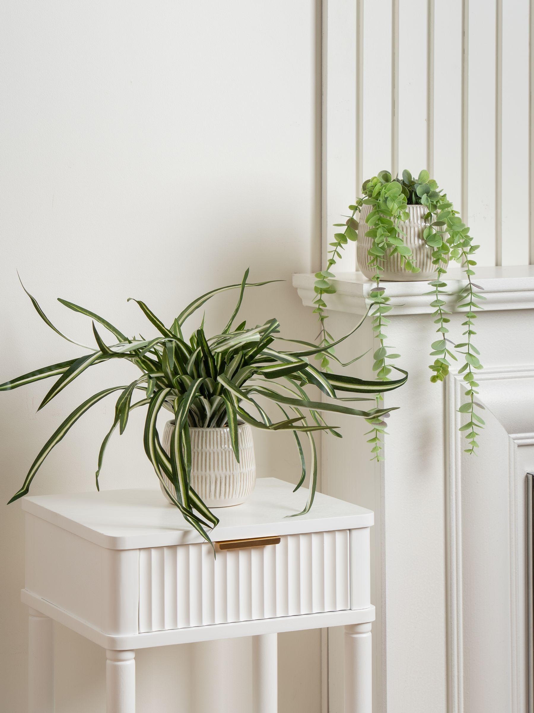 Scottish Everlastings Ltd Beige Green Set Of 2 Artificial Plants In Glazed Pots