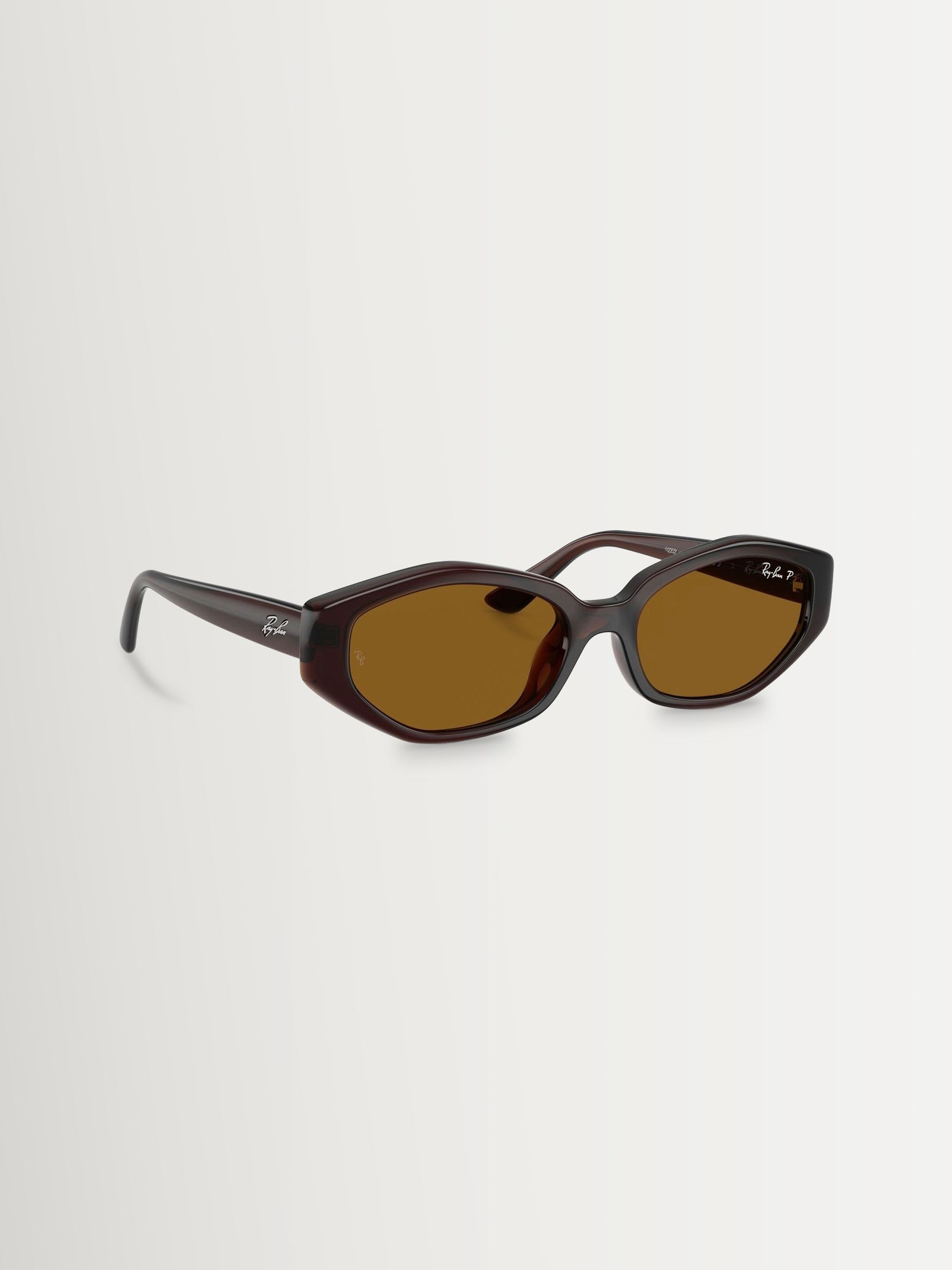 Ray-Ban Ray Ban Brown 0Rb4473d Irregular Sunglasses