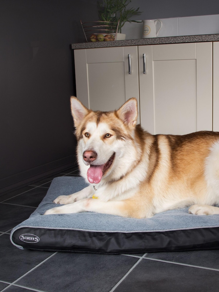 Scruffs® Grey Washable Medium Breed Memory Foam Orthopaedic Dog Pillow Bed - Image 1 of 3