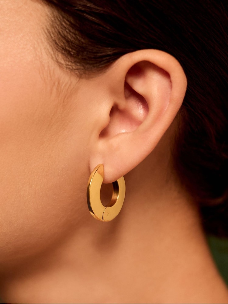 Accessorize Gold Stainless Steel Flat Hoop Earrings - Image 1 of 1 Accessorize Gold Stainless Steel Flat Hoop Earrings - Image 1 of 1