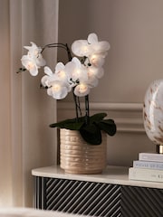 White Artificial Light Up Orchid In Ribbed Ceramic Pot - Image 1 of 6