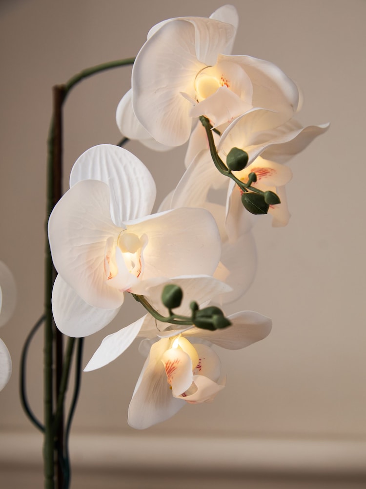 White Artificial Light Up Orchid In Ribbed Ceramic Pot - Image 2 of 6 White Artificial Light Up Orchid In Ribbed Ceramic Pot - Image 2 of 6