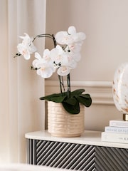 White Artificial Light Up Orchid In Ribbed Ceramic Pot - Image 3 of 6