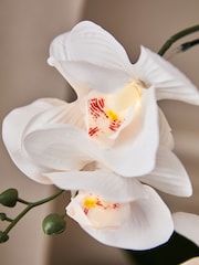 White Artificial Light Up Orchid In Ribbed Ceramic Pot - Image 4 of 6