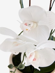 White Artificial Light Up Orchid In Ribbed Ceramic Pot - Image 5 of 6
