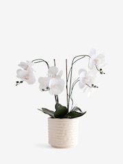 White Artificial Light Up Orchid In Ribbed Ceramic Pot - Image 6 of 6