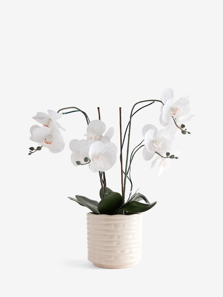 White Artificial Light Up Orchid In Ribbed Ceramic Pot - Image 6 of 6