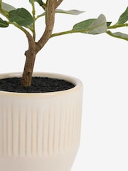 Künstlicher Mini-Olivenbaum in geripptem Keramiktopf - Bild 2 von 3