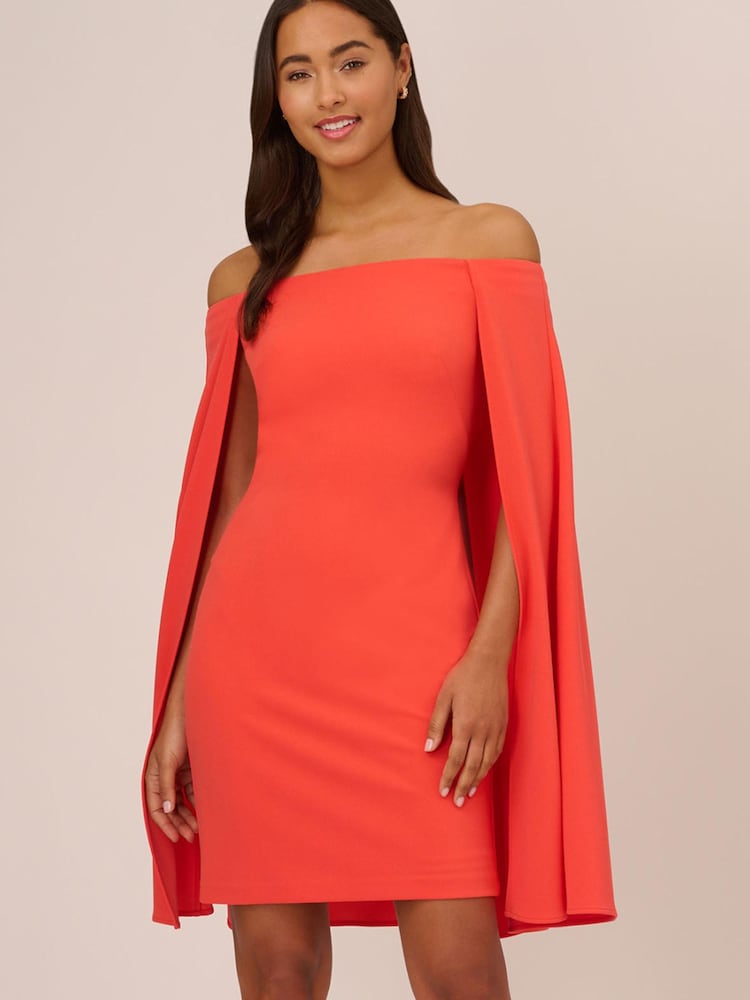 Adrianna Papell Pink Off Shoulder Cape Dress - Image 1 of 7