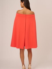 Adrianna Papell Pink Off Shoulder Cape Dress - Image 2 of 7