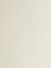 Levi's Feather gray Levi's Utility Belted Shorts - Image 8 of 8