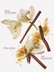 Bath & Body Works Dreamy Amber Wallflowers Fragrance Refill 24 ml - Image 3 of 4