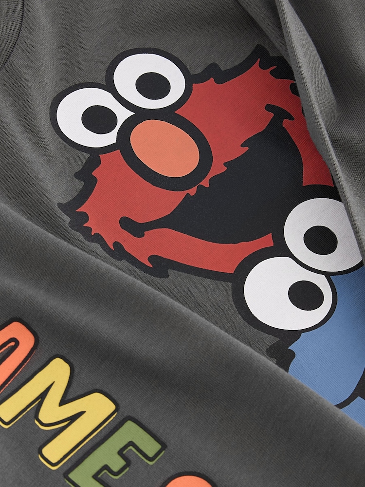 Charcoal Grey 100% Cotton Long Sleeve Sesame Street T-Shirt (3mths-8yrs) - Image 3 of 3