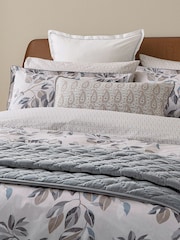 Bedeck of Belfast Neutral Albany Danza 180 Thread Count 100% Cotton Square Pillowcase Pair - Image 1 of 4